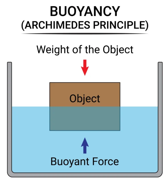 Plastmasas pagraba enkurošana ir svarīgs etaps, lai saglabātu tā ilgmūžību.